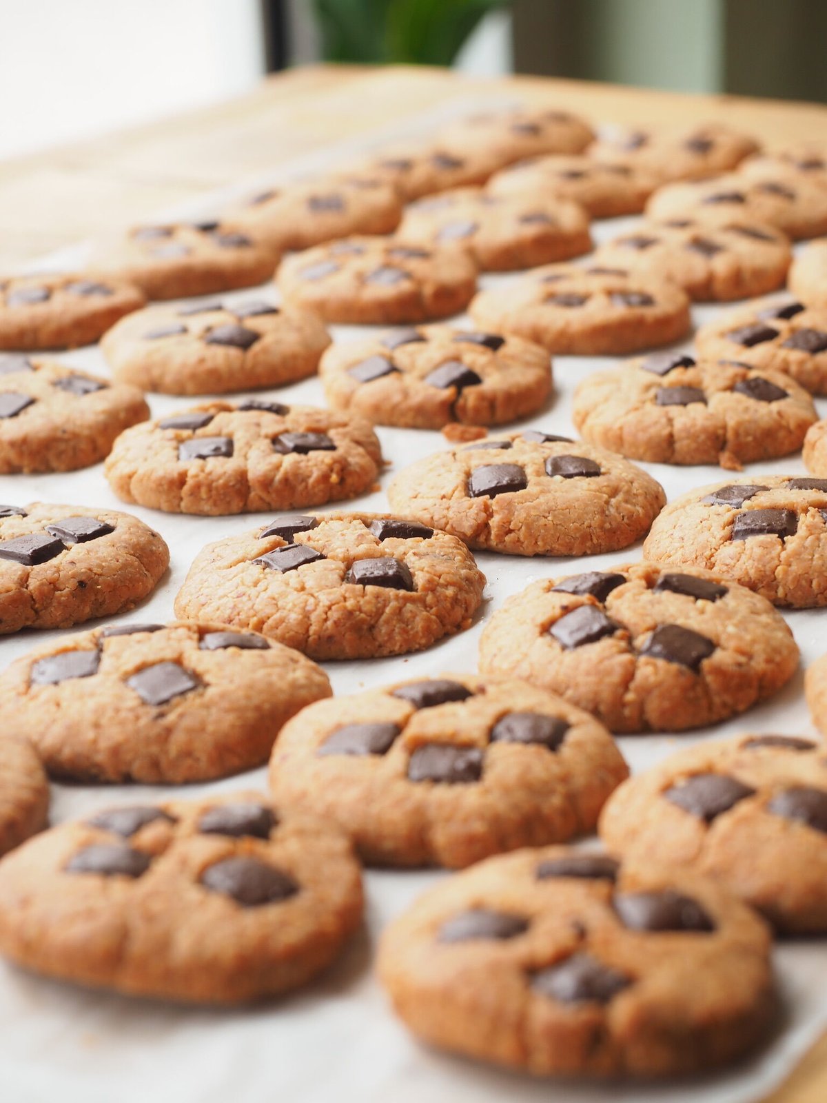 fit=scale-down,w=1200