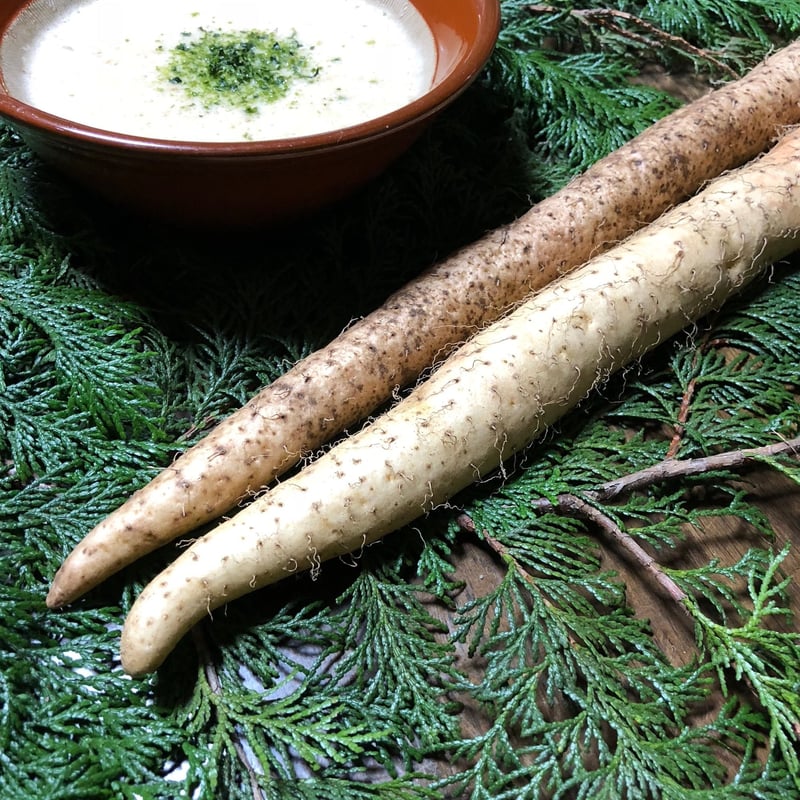 送料無料 自然薯 じねんじょ 300g 生産者直送 | miura farm's STORE