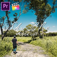 N5 SKYBLUE LUT