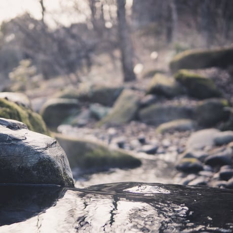 N5 VINTAGE LUT PACK