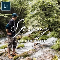 N5 SPRING LIGHTROOM PRESETS
