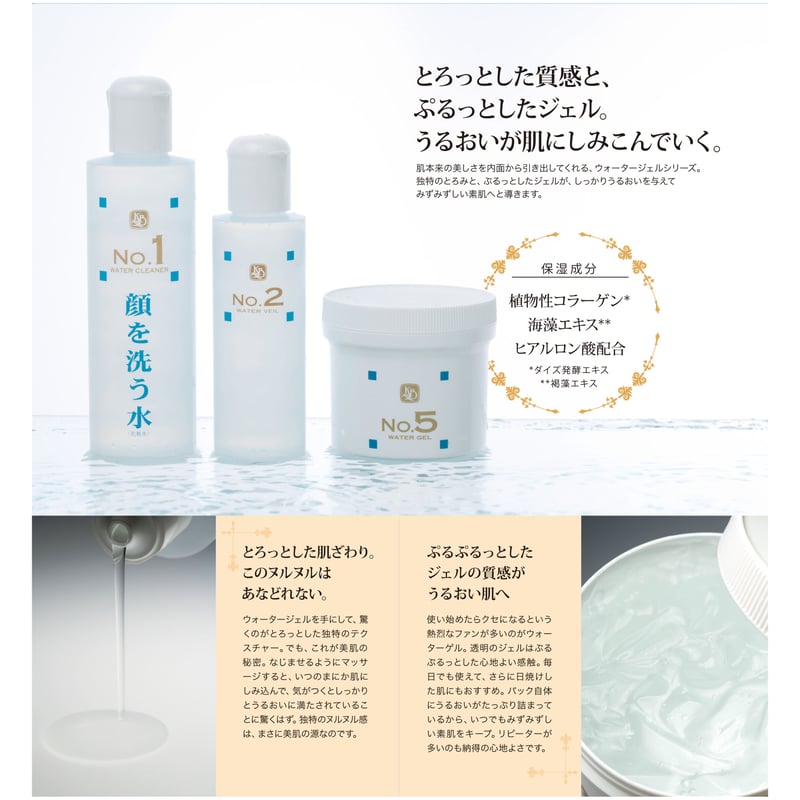 SKIN H WATER GEL スキンHウォータージェル SKIN H WATER GEL スキンH