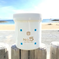 【送料無料】カミヤマ美健『顔を洗う水』No.５ウォーターゲル500g（本体5500）