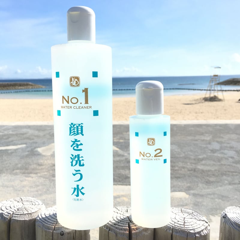 顔を洗う水 NO.1 ウォータクリーナー 500ml 2本セット カミヤマ美研 