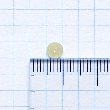 スパンコール ゼラチン製　5mm（coha103 シェルホワイト）【0.5g】