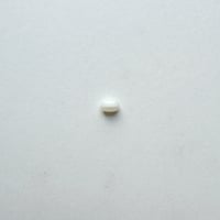ナツメビーズ (FEG198 ホワイト) 【10個セット】