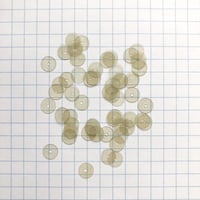 スパンコール ゼラチン製 ラウンド 6mm（FSCA162  オーロラクリアグレー）【0.5g】