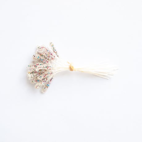 ペップ（花芯）No.037 レインボー　片付き【24本セット】