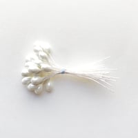 ペップ（花芯）No.086 パール・Lサイズ【24本】