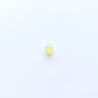 ドロップビーズ (FJ437　イエローマーブル) 【5個セット】