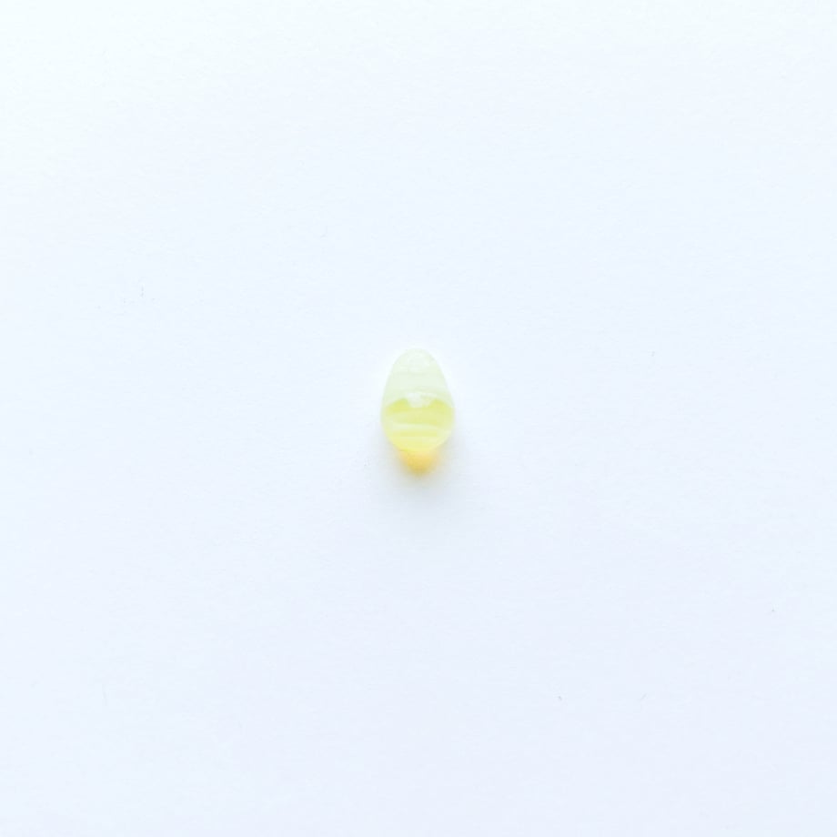 69fc392c544a4b1488c406a4
