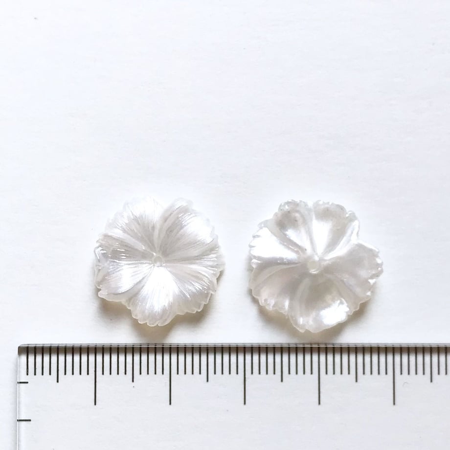 5c47d1fdc3976c52a88d7c2e