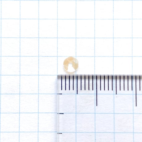 スパンコール ゼラチン製　4mm（coha106 オーロラ）【0.5g】