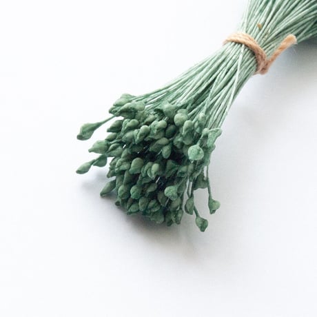 ペップ（花芯）No.005 アイスグリーン【144本程度】
