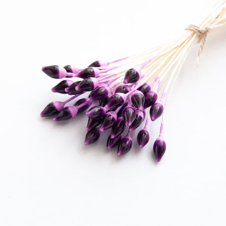 ペップ（花芯）No.030 パープル【72本程度】