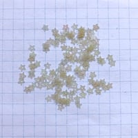 スパンコール ゼラチン製 星形　3mm（FSC348 オパールグレー）【0.2g】