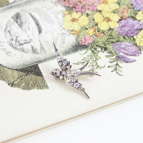 victorian swallow brooch *size S
