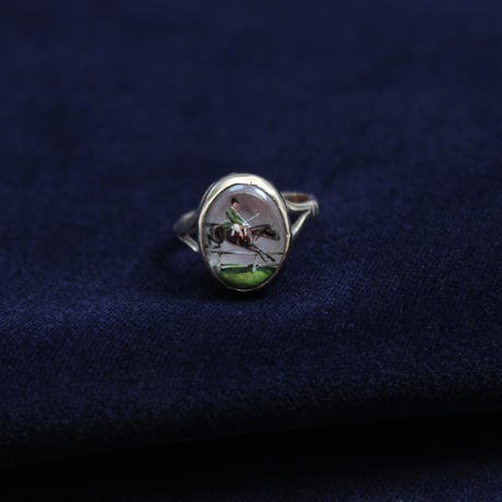horse riding ring *essex crystal
