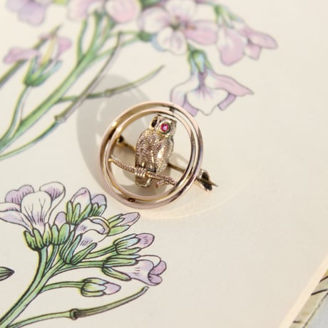 double circle owl brooch *gold