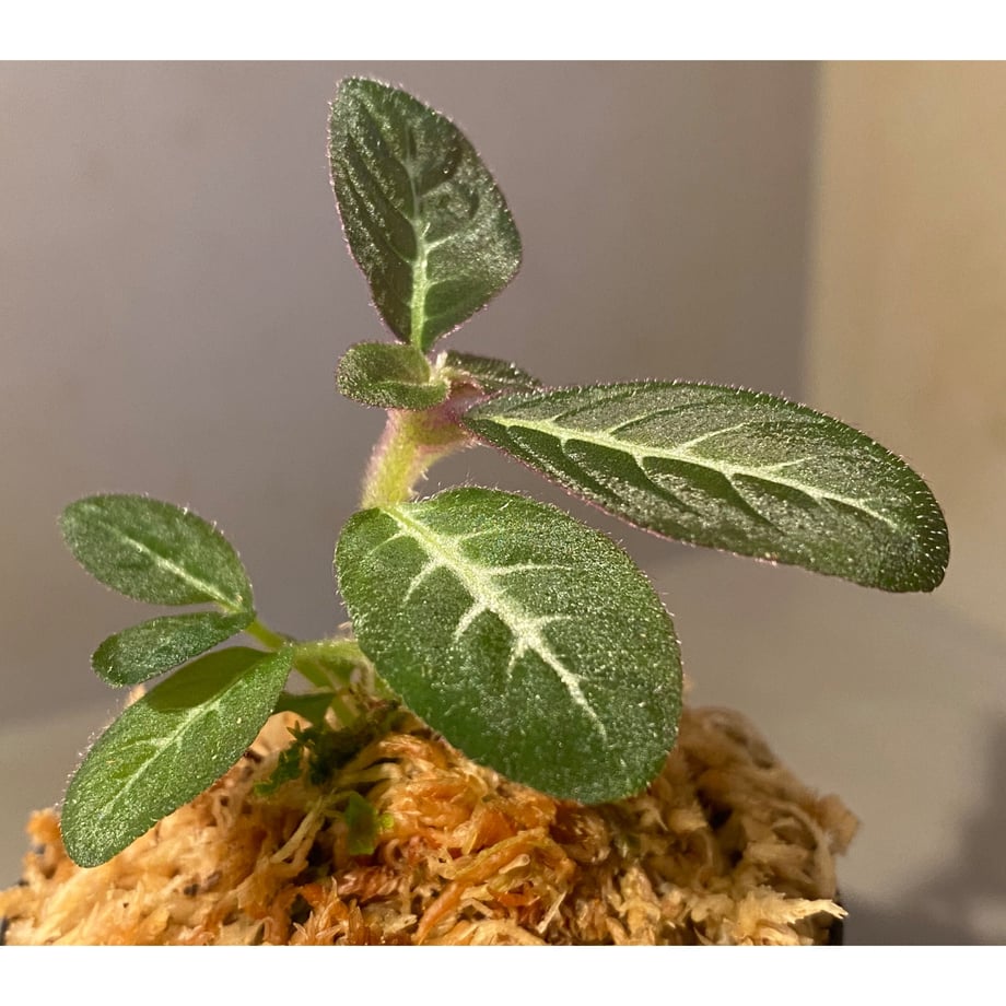 63076c7873f98a73b949423c
