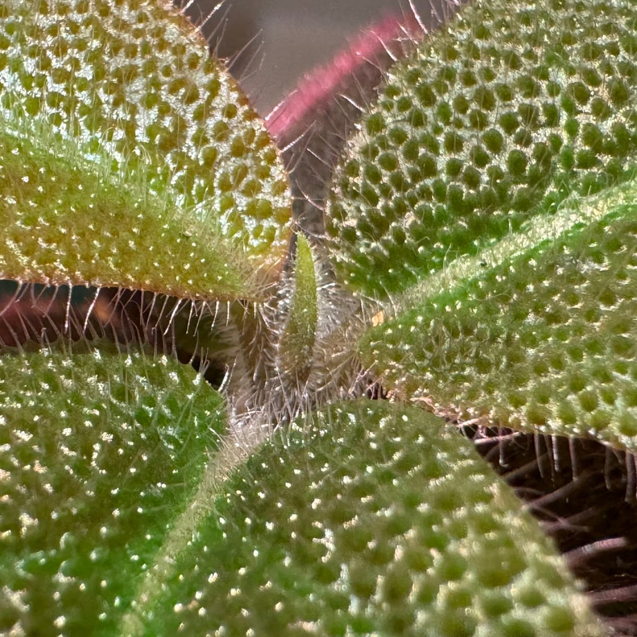 66b3601e68911905869b03d7