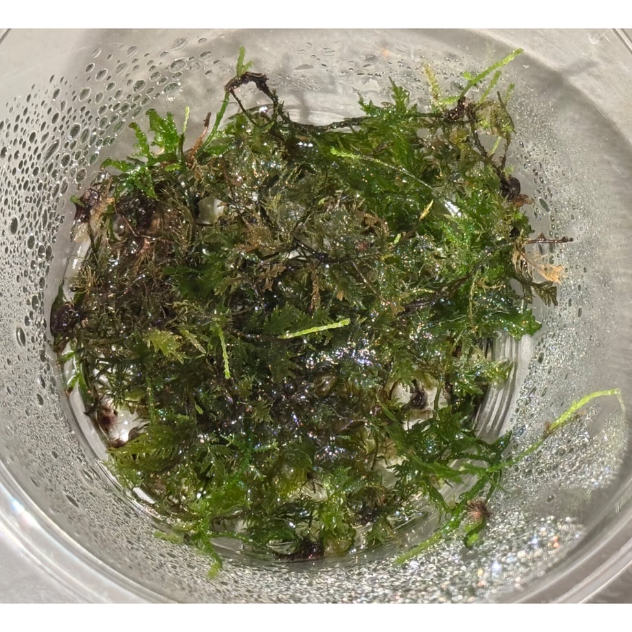 67dc09202358c65cf4395af8