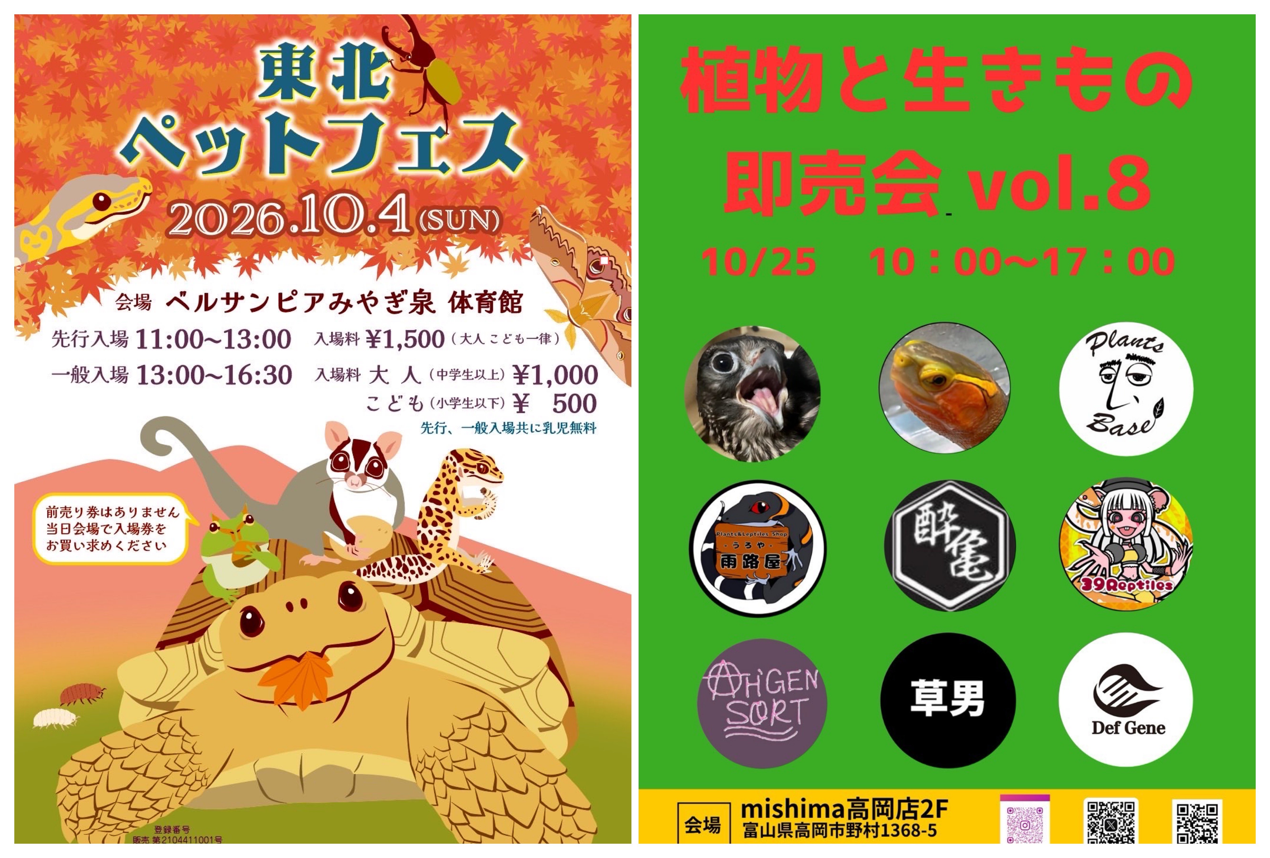 出店イベント予定！