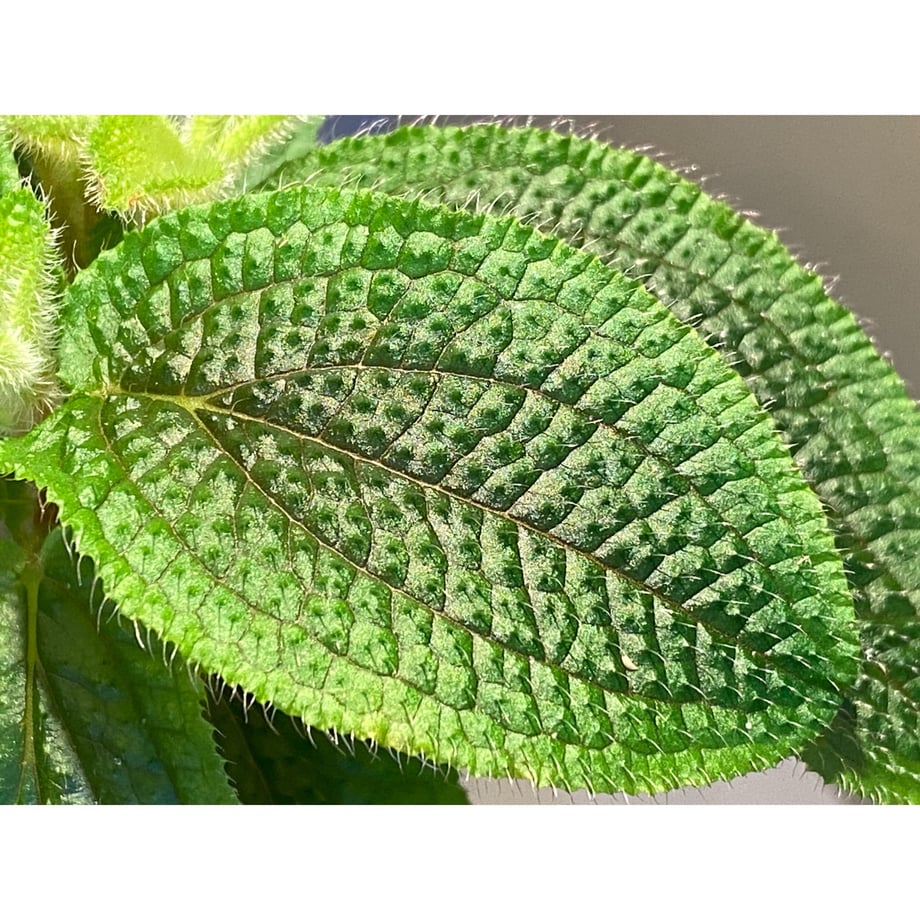 60193bfd6728be7dcfdfb901