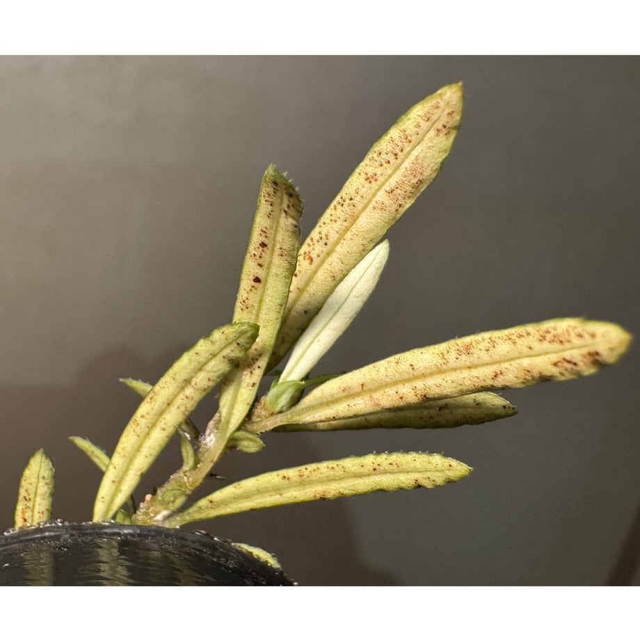 6a1ebb2e35edb7daa413bd2f