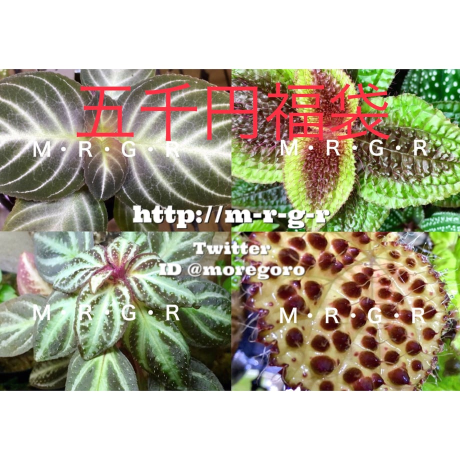 6596a5f6c0e0b80b1ec2b7d0