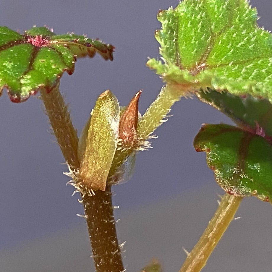 63e78e5f93f6192278f314b3