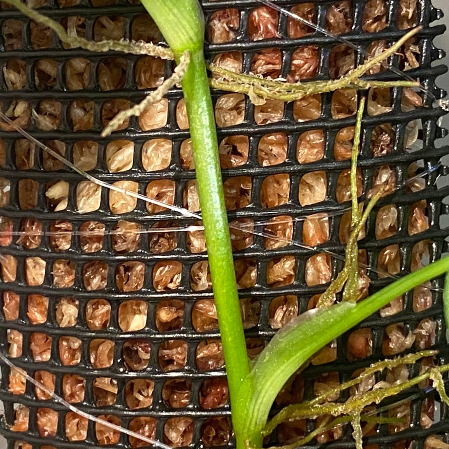 662ba0ddd8e56a098f3c5bba