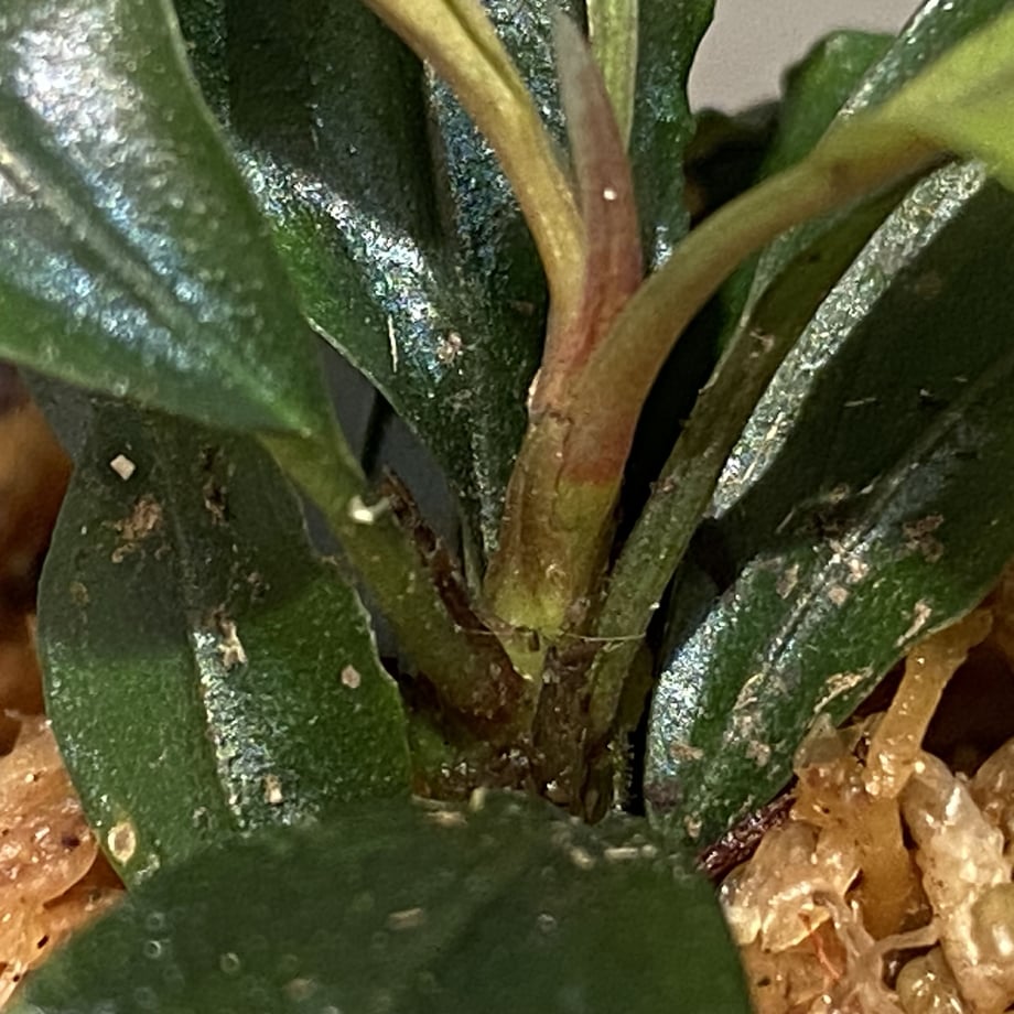 650056323626e406cdab8a18
