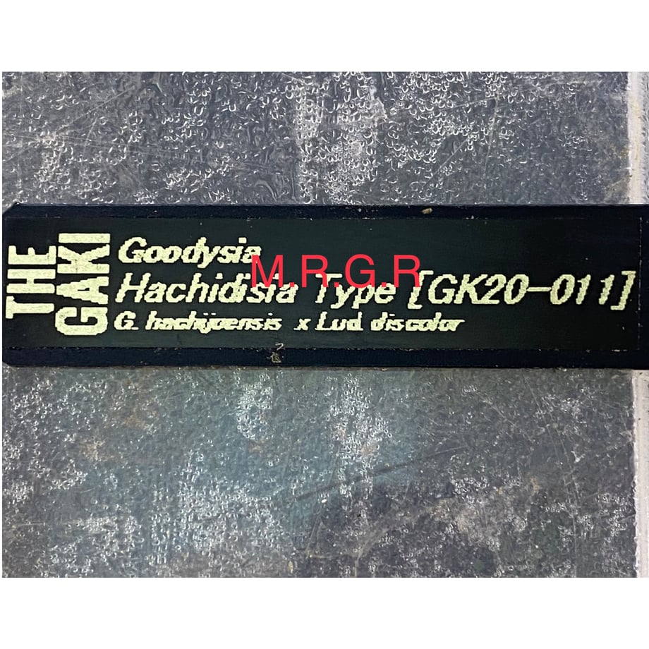 6569ca0745c7bd0d526b1e55