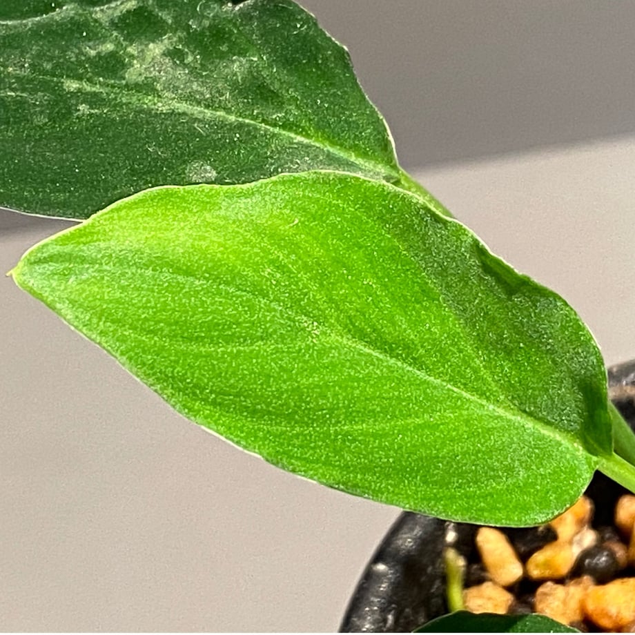 5ed1efc772b91178e464db85