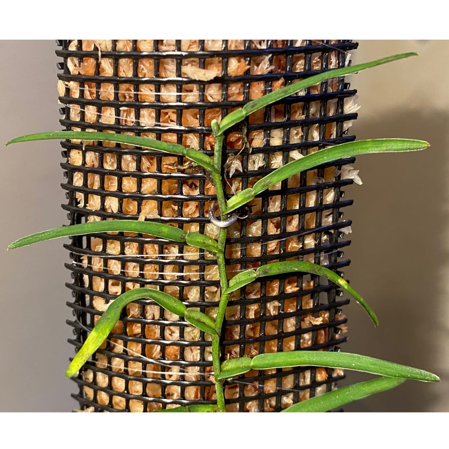 6241a13d30344b50e7d26a19