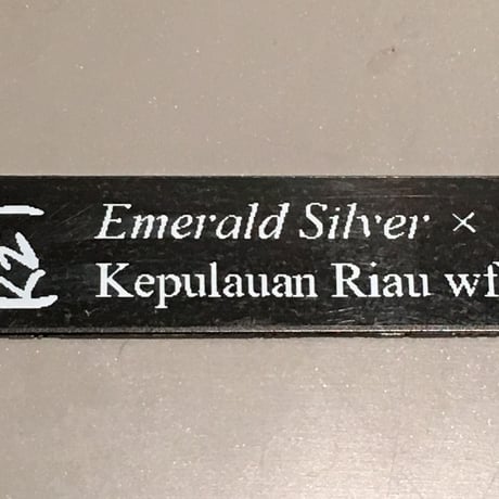 Homalomena sp. Emerald Silver x？ from Kepulaun Riau wf1