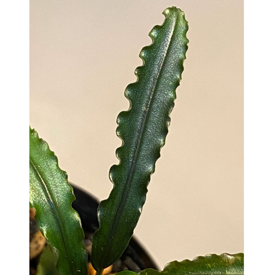 5eaf91ad72b9113936571c88