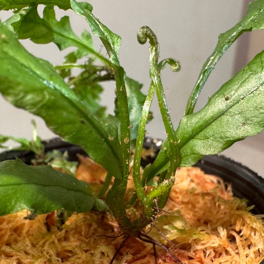68ac53078b04063b66cd67ed