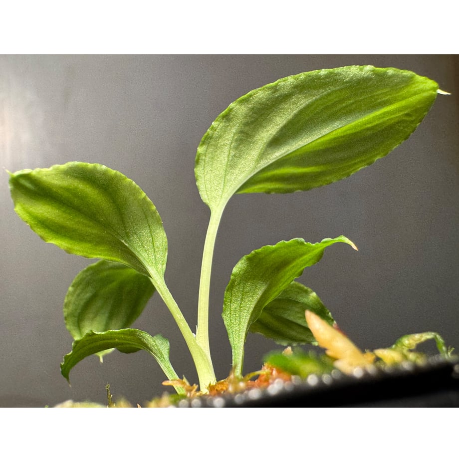 6a11970ee2dc7a32959fa367