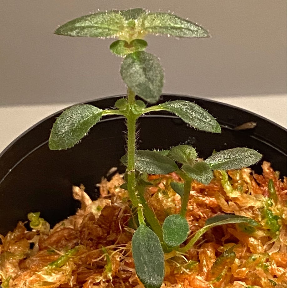 5e9544f934ef012c7a430940