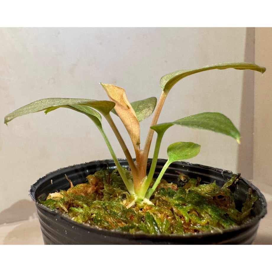 6a2807f8f00a1f76e763fb63