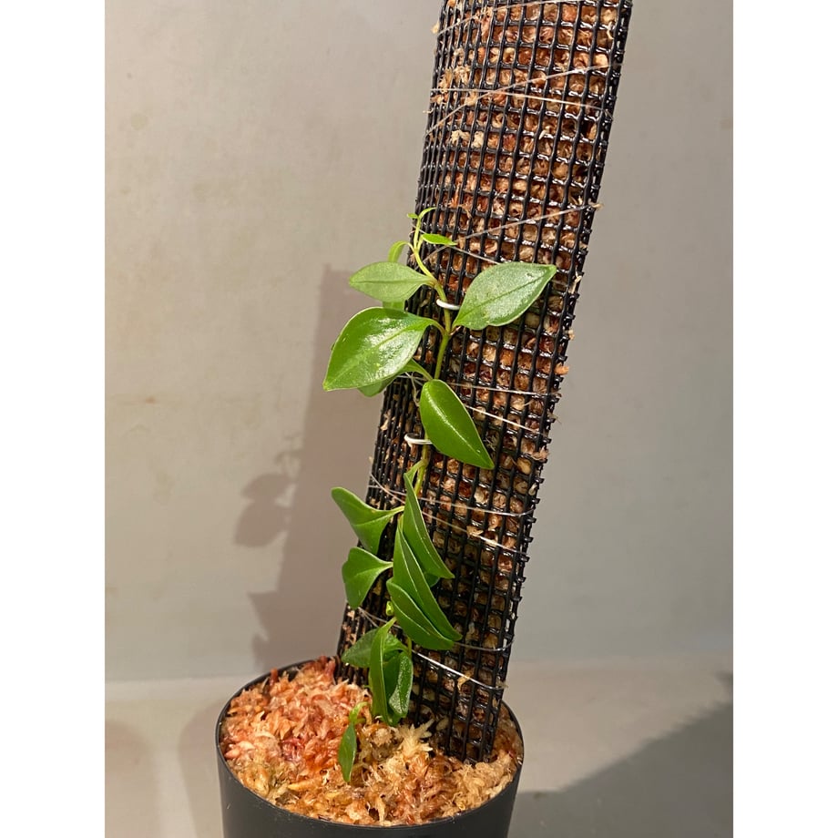 66474dba77bc660a3a89f3e3