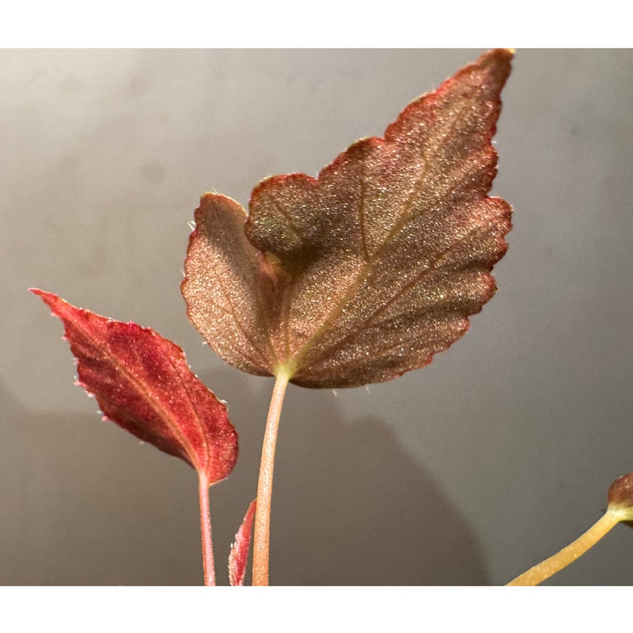 698b1c958d1e7dc2cbbfde79