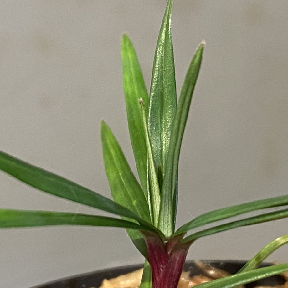 6460d85791f26e00316d2c87