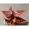Begonia sp. ぼっち株 from Julau [R1214-01b]