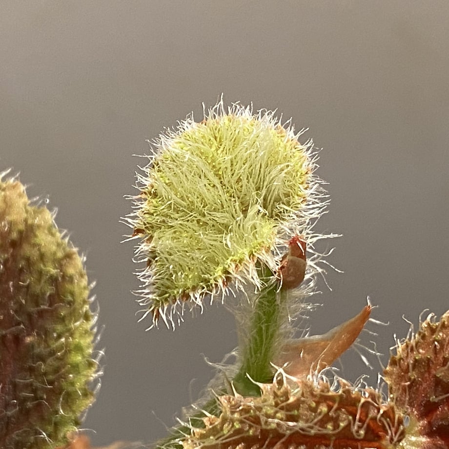5fbb8d0fdf51590525259e87