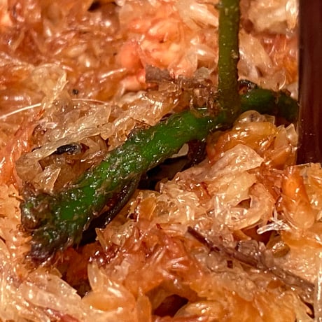 Microsorium sp. from Saripoi [LA0515-02] ①