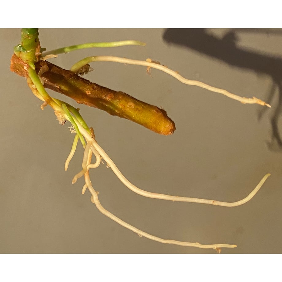 634e9837f80f1e2d587bbe12