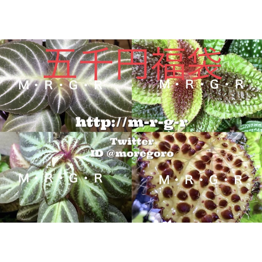 61d3d88a47a5347feae275aa